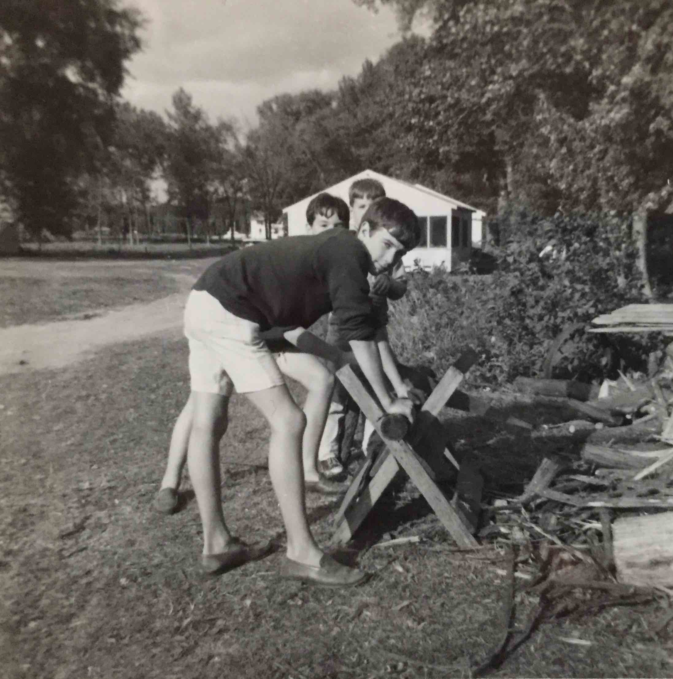 Summer 1964 Isle La Motte, Chopping Wood copy 2